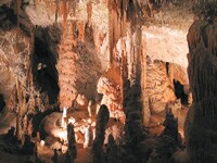 �|�X�g�C�i�ߓ���