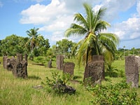 �X�g�[���E���m���X