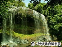 �K���X�}�I�̑�