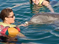 �V�[�E���C�t�E�p�[�N