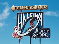 �m�[�X�V���A���n���C��