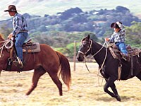 �p�[�J�[�q��