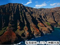 �i�E�p���E�R�[�X�g