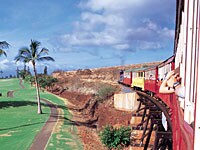 �T�g�E�L�r���