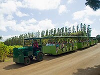 �}�E�C�E�g���s�J���E�v�����e�[�V����