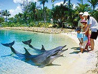 �V�[���[���h