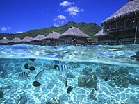 ���[���A��