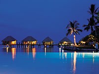 �e�B�P�n�E���A�}�j�q��