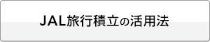JAL���s�ϗ��̊��p�@