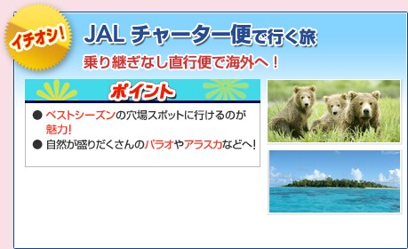 �C�`�I�V�I JAL �`���[�^�[�ւōs���c�A�[ �e�n��`���烉�N���N�C�O�ցI �|�C���g�F��1��4���o������I �D�y���n���C�c�A�[�I����芷���Ȃ���4���Ԕ��Ŗ����̊y���p���I�ցI��7���ԂŃA���X�J�ցI�����̃I�[�����ӏ܁I