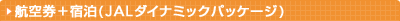 �q�󌔁{�h���iJAL�_�C�i�~�b�N�p�b�P�[�W�j