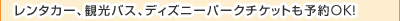 �����^�J�[�A�ό��o�X�A�f�B�Y�j�[�p�[�N�`�P�b�g���\��OK�I