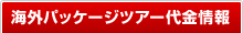 �C�O�p�b�P�[�W�c�A�[������