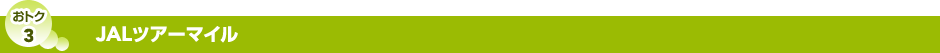 ���g�N3�@JAL�c�A�[�}�C��