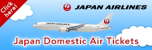 JAL　日本航空　国内線航空券