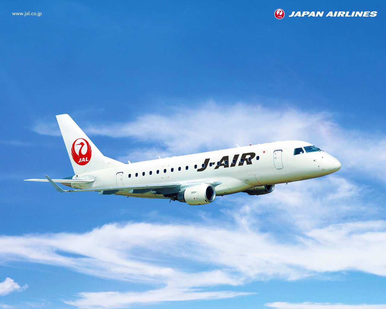 かわいい動物画像 新着かわいい Jal 飛行機 イラスト