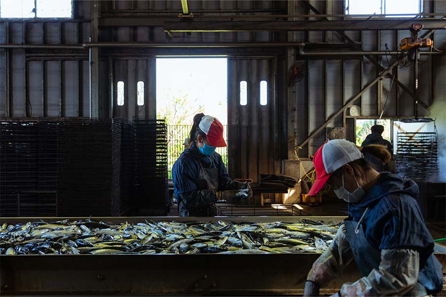 Makurazaki’s katsuobushi: The foundation of Japanese cooking