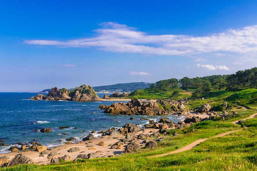 Tanesashi Coast (種差海岸) — natural grass on the water’s edge
