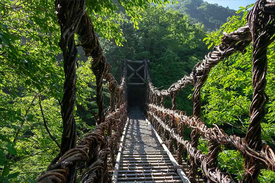 Activity 10: Hiking the Valleys and Vine Bridges of Iya