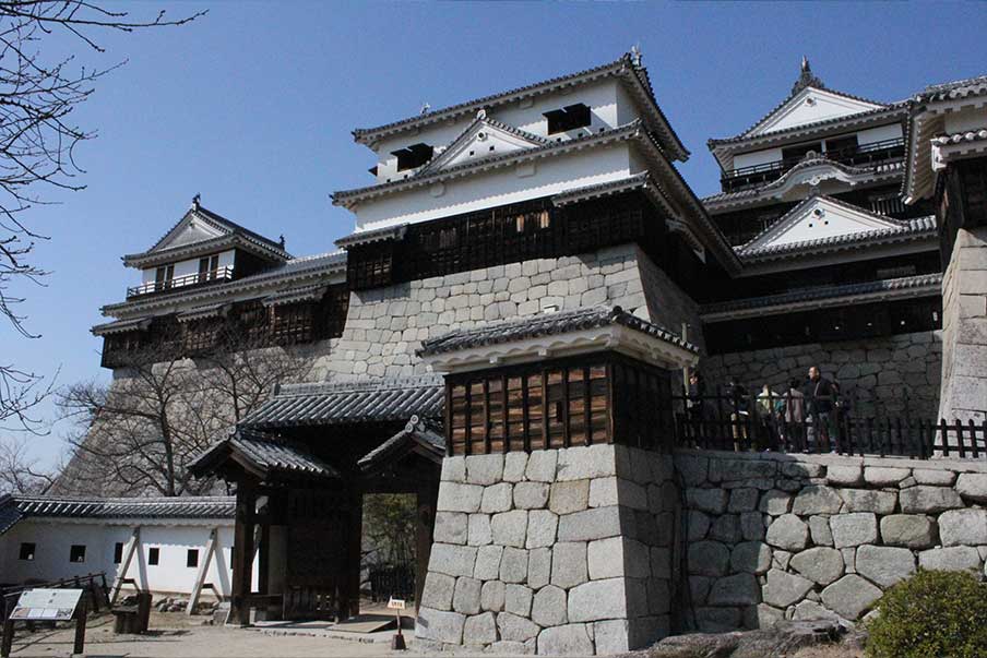 Activity 7: Matsuyama Castle and Dogo