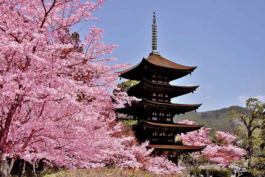 Explore Kozan Park and Rurikōji Temple’s Five-Story Pagoda