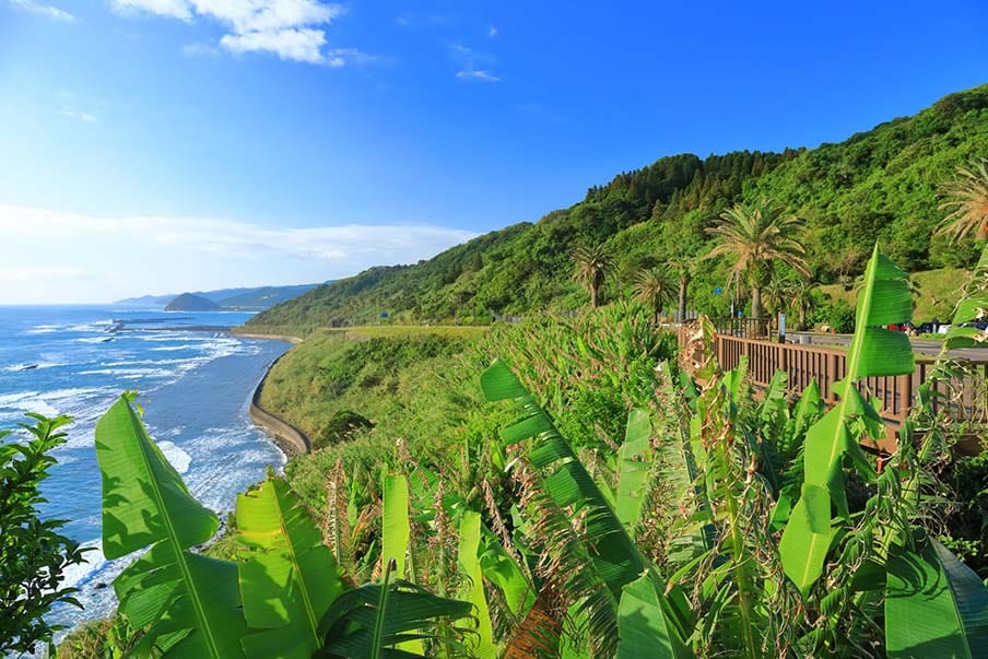 Journey through Southern Coast 