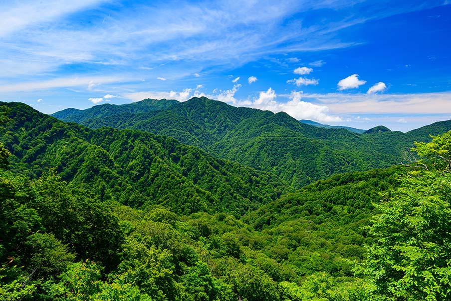 Experience the wonder of Shirakami Sanchi - a UNESCO World Heritage Site