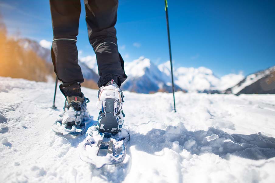 Go snowshoe trekking in Hakkoda