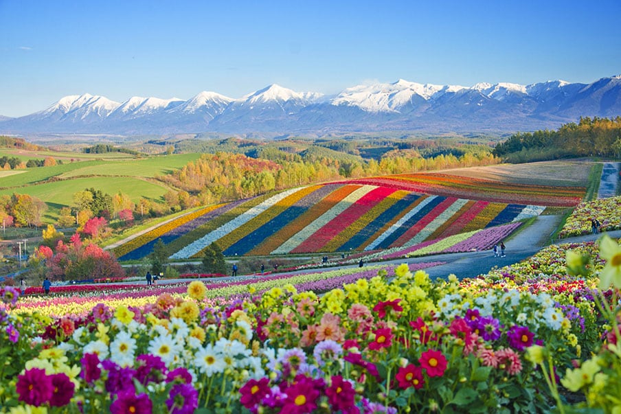 Hokkaido’s Best Parks and Nature Attractions