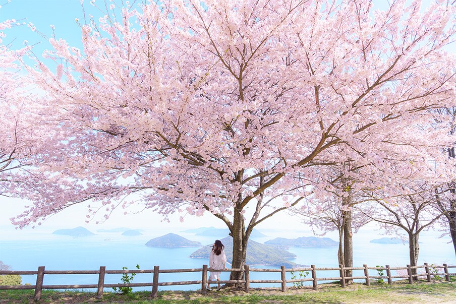 Art Hopping in Kagawa Where Beauty Can Be Found at Every Turn