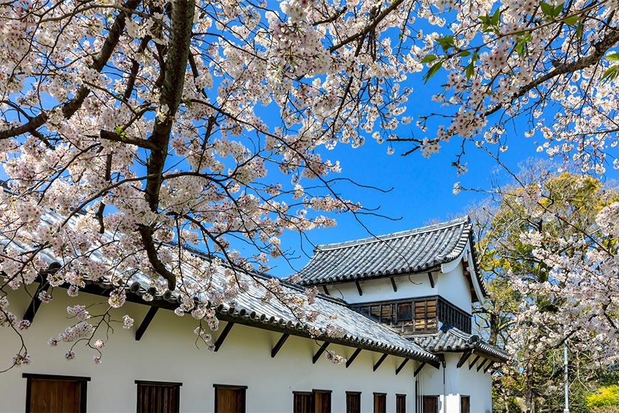 Wander through history at the grand ruins of Fukuoka Castle
