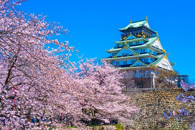Take your best travel photos at Osaka Castle