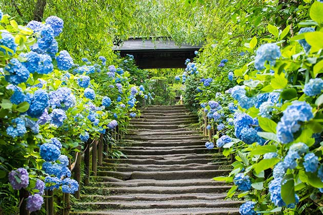 8 indoor activities for a rainy day in Tokyo