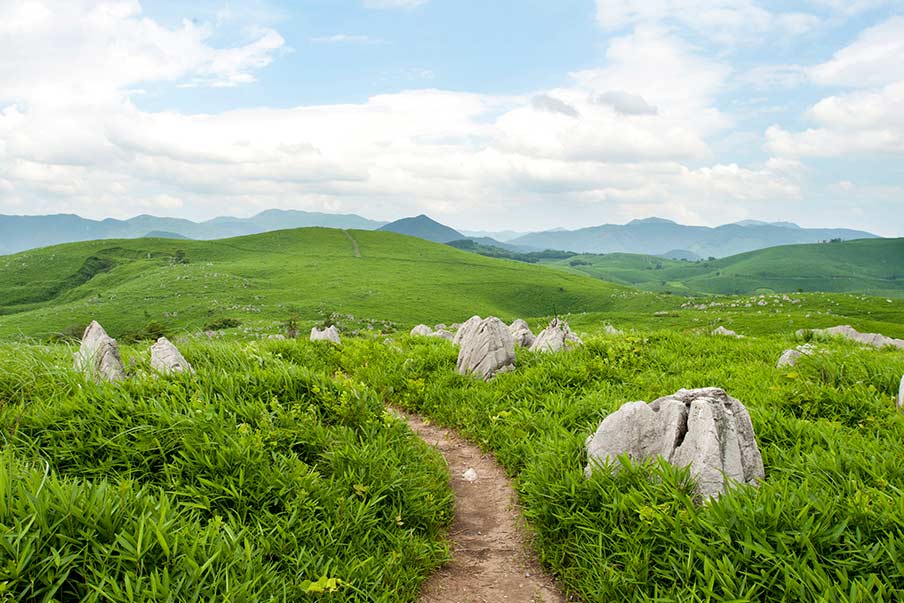 Akiyoshidai Plateau: Walk through an ancient coral reef