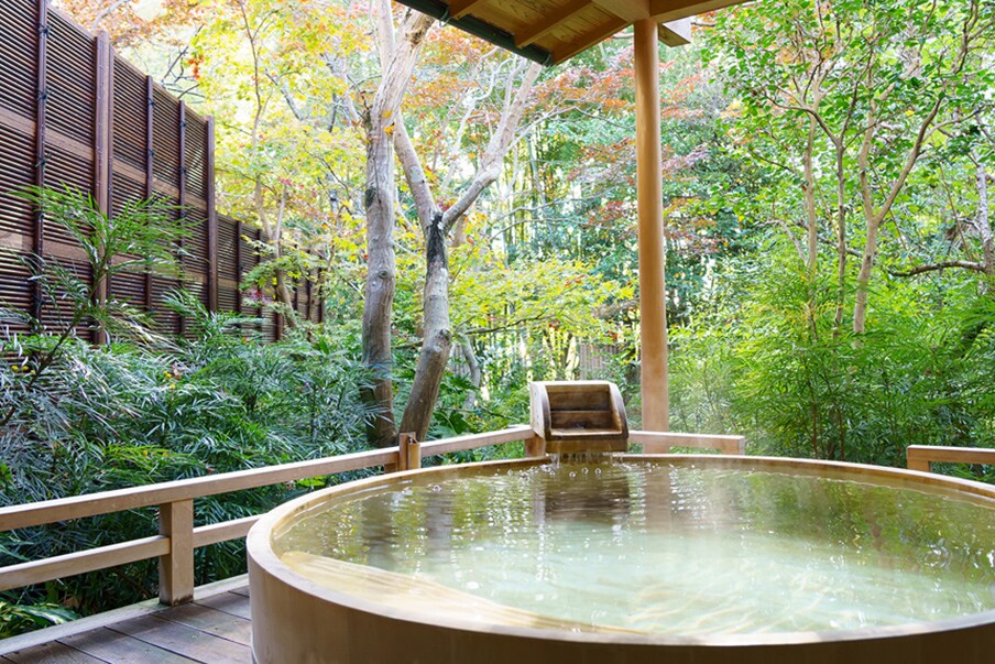 Accessible only for hotel/ryokan visitors