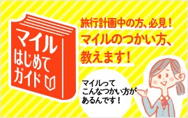 マイルはじめてガイド
