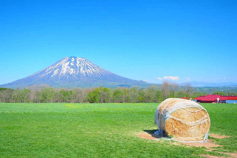 Hokkaido is famous for its dairy