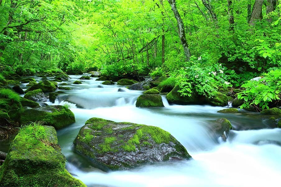 Hike to the Oirase Mountain Stream in Aomori