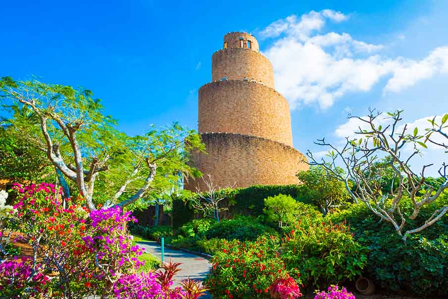 Get immersed in plants at the Tropical Dream Center