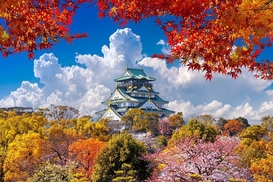 Learn about Osaka Castle’s history and experience life in the past