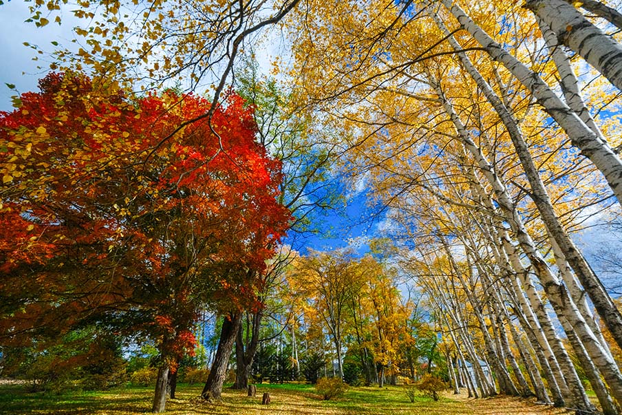 A delicious and restful visit to Kitami and eastern Hokkaido