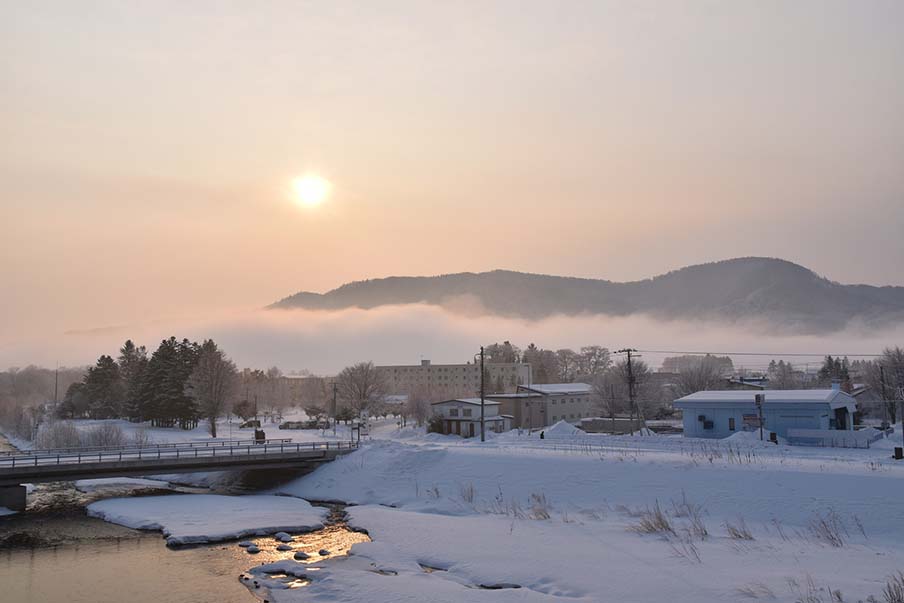 Day trips and overnight stays