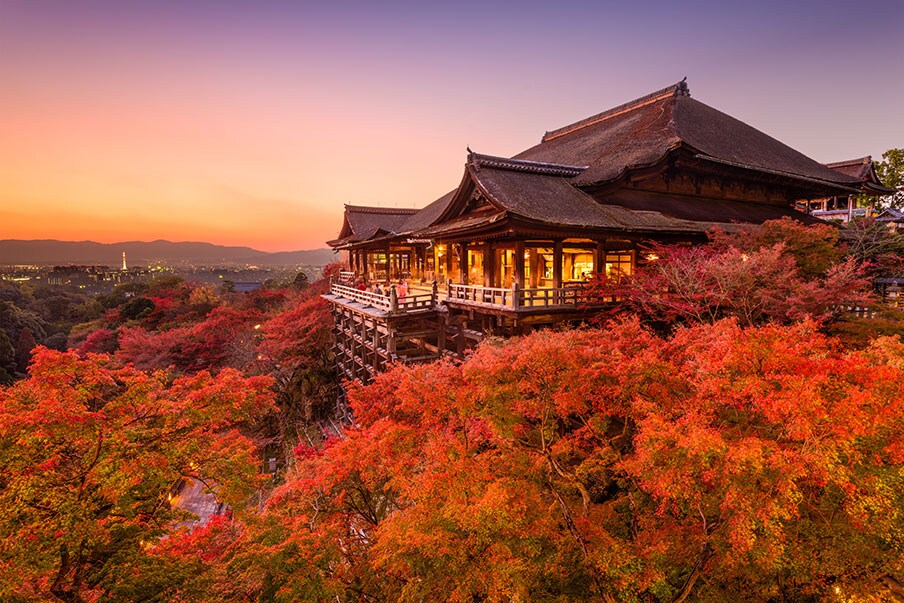 Panoramic view from the Kiyomizu-dera Temple