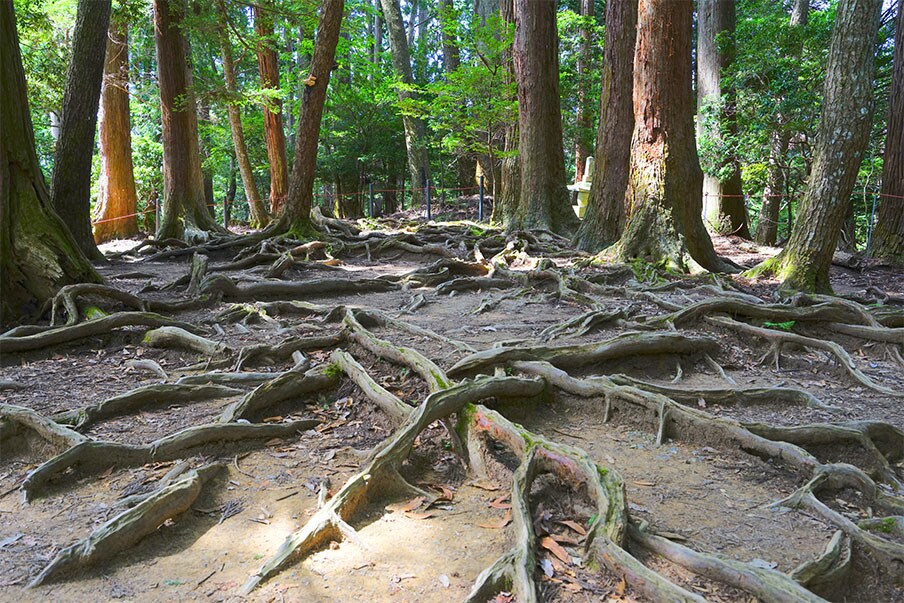 sacred path to Kibune
