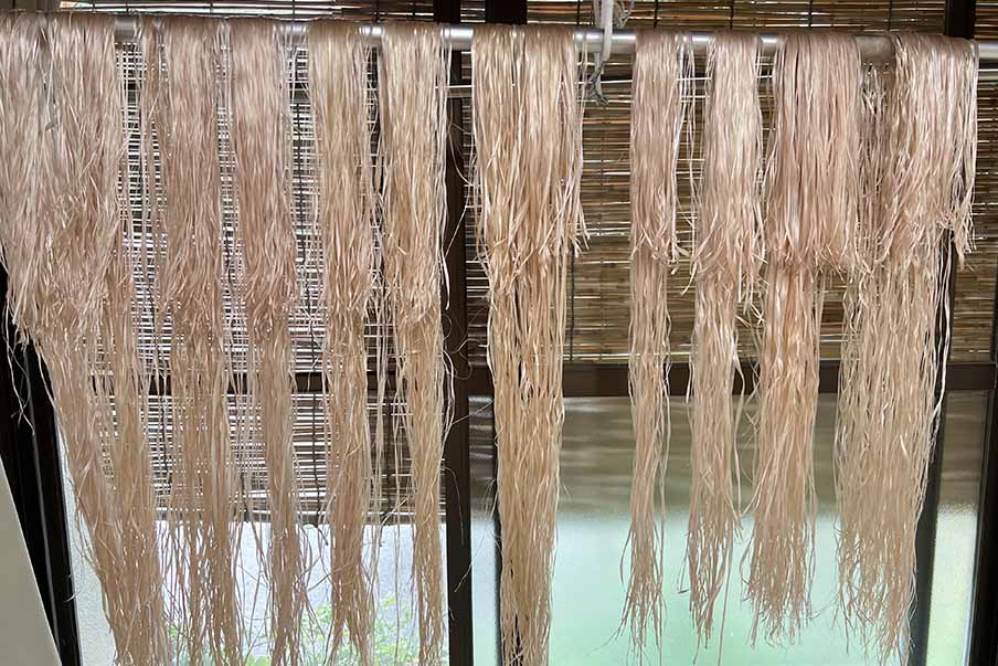 Explore plant-based cloth in a historic village