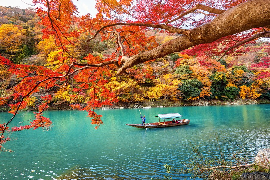 Hike, meet monkeys, and relax at Arashiyama Park