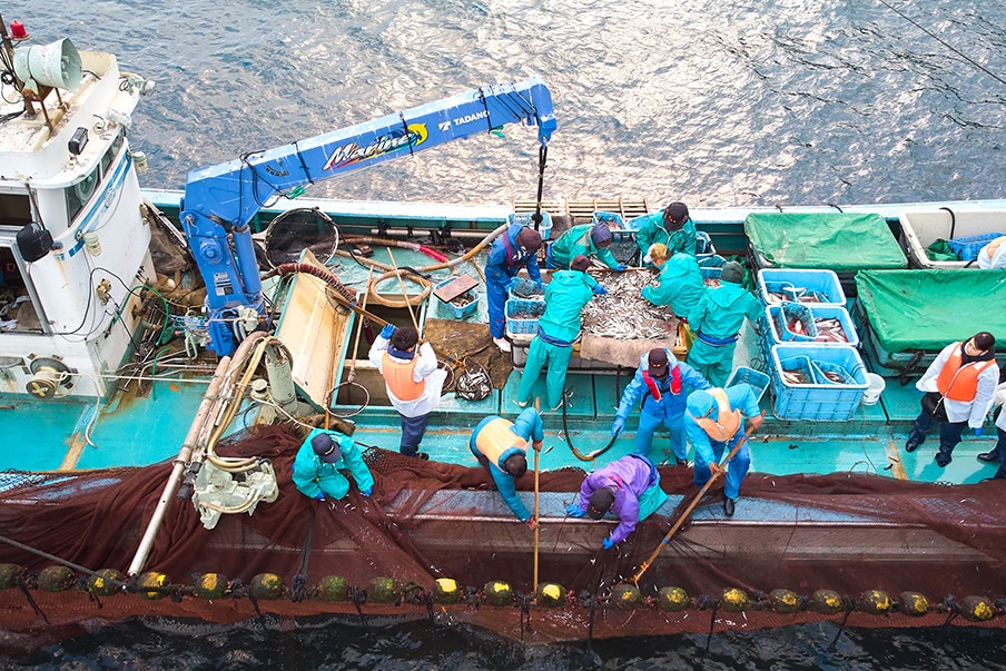 Freshly caught seafood dishes