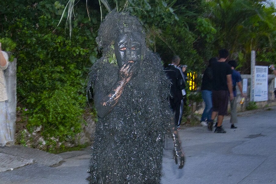 Paantu Festival