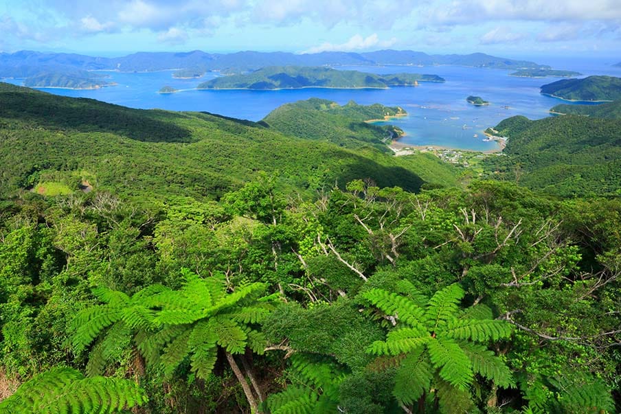 喜界岛和加计吕麻岛：沉浸式体验清澈的海域和茂盛的绿色景观