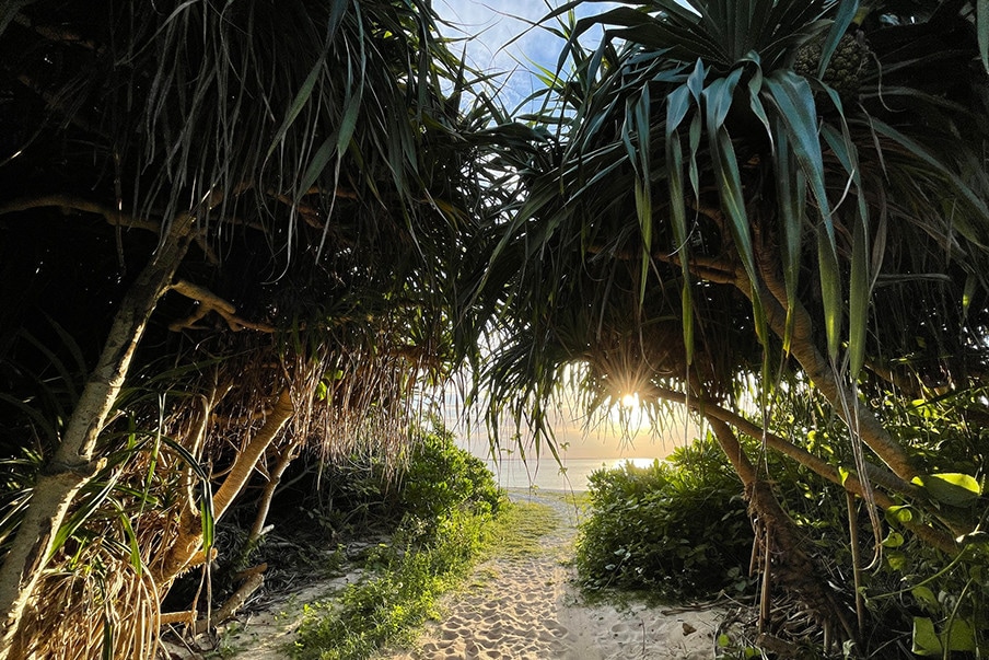 鹈鹕之巢海滩的日落美景